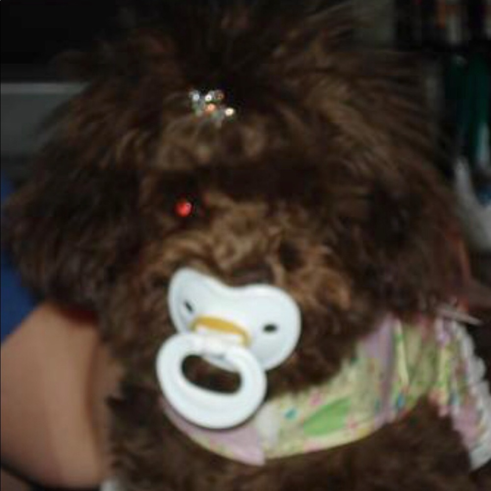 Meet your Posher, Debra